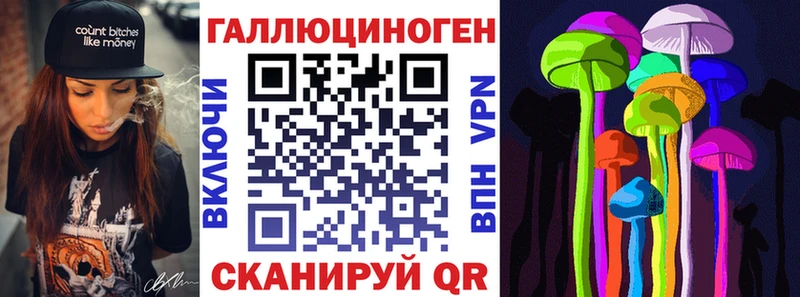 Псилоцибиновые грибы Psilocybe  blacksprut маркетплейс  Дмитровск 